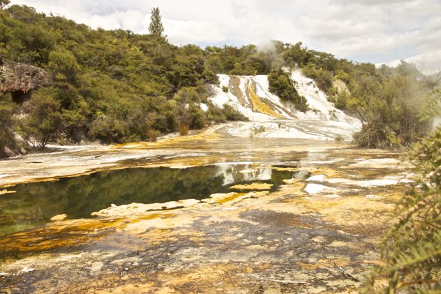 Prachtig gevormd en gekleurd door de natuur