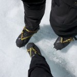 NZ_Glacier_160214 - 102