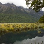 NZ_MilfordSounds_180214 - 016