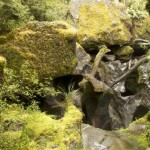 NZ_MilfordSounds_180214 - 237