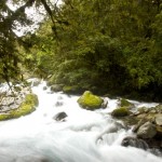 NZ_MilfordSounds_180214 - 277