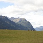 NZ_MilfordSounds_180214 - 370