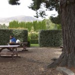 NZ_ToFjordland_170214 - 020