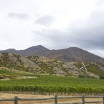 NZ_ToFjordland_170214 - 035