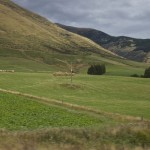 NZ_ToFjordland_170214 - 119