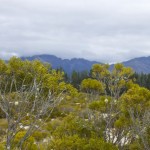 NZ_ToFjordland_170214 - 128