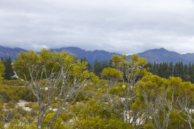 NZ_ToFjordland_170214 - 128